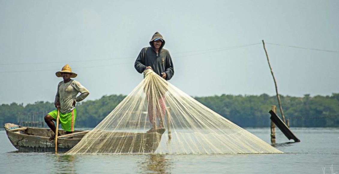 pesca colombia