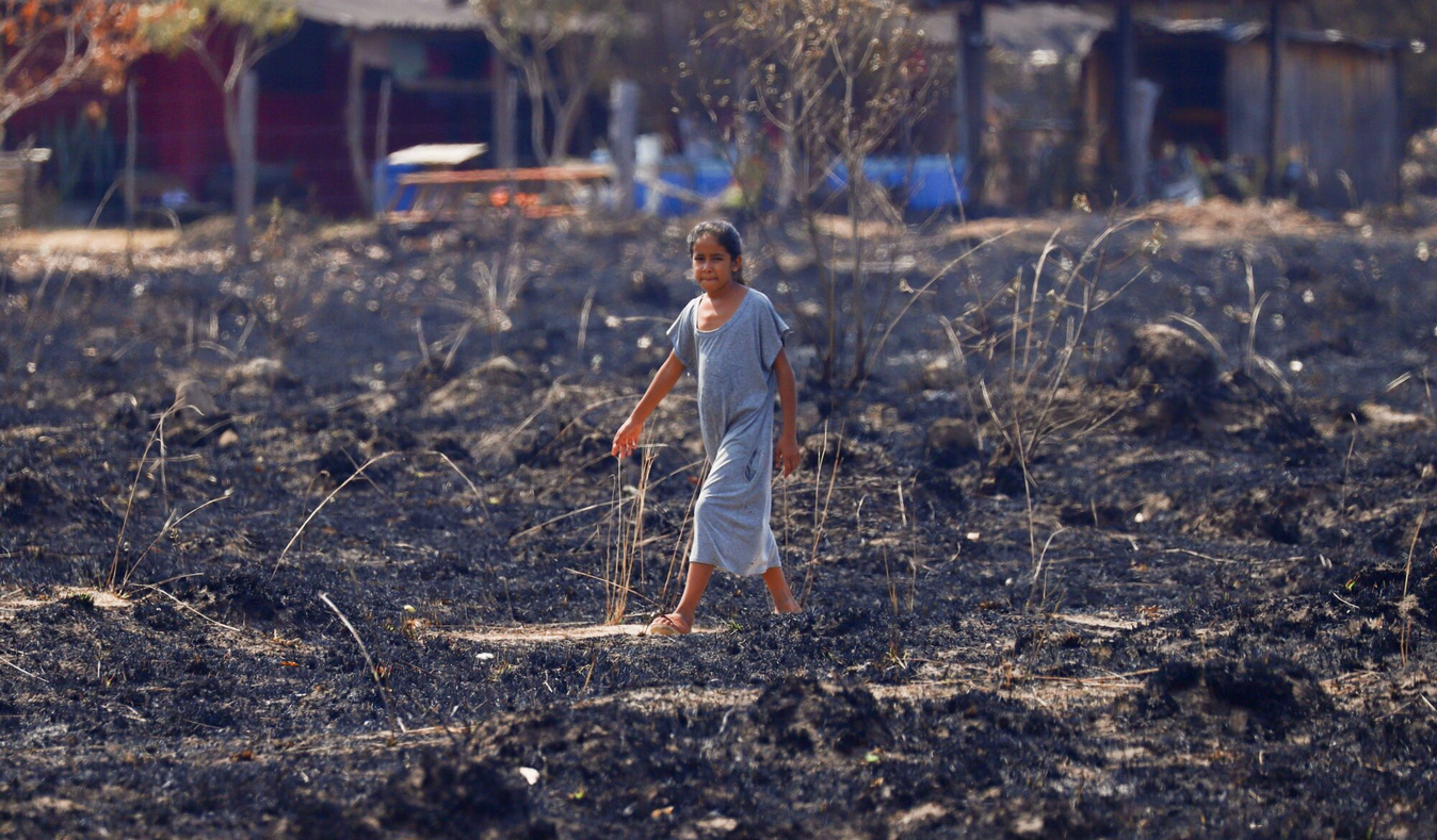 Esperanza en tiempo de crisis climática: cuatro iniciativas que luchan  contra la inminente escasez de agua dulce - Por Antonio José Paz Cardona -  NODAL