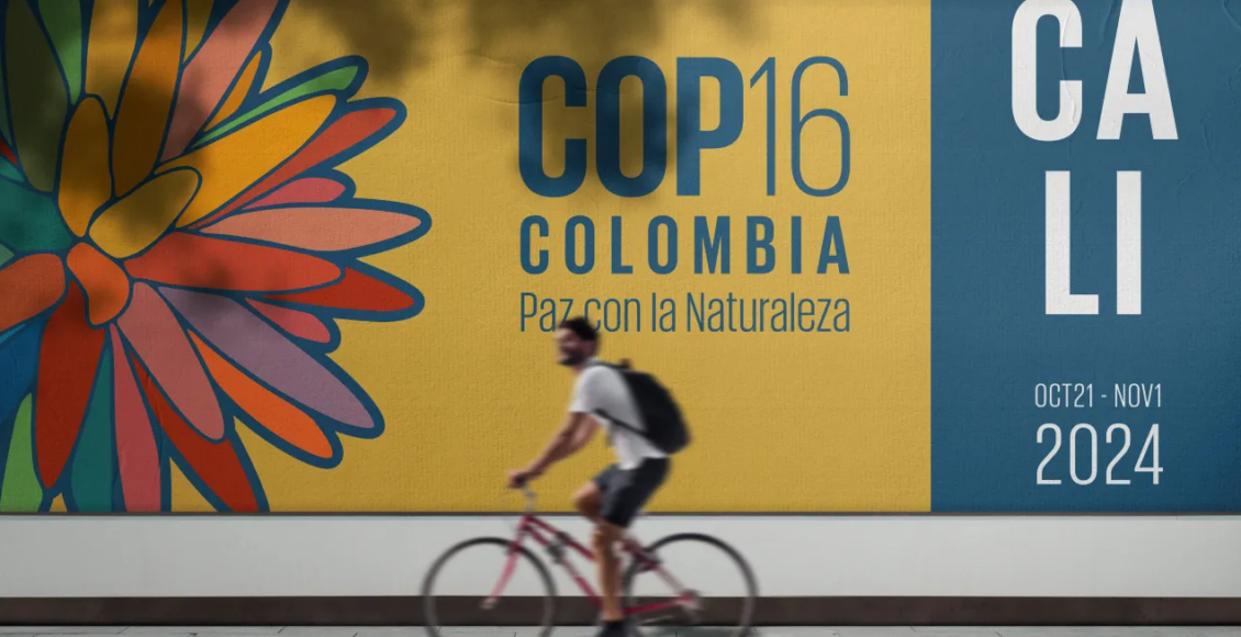 cop16 colombia